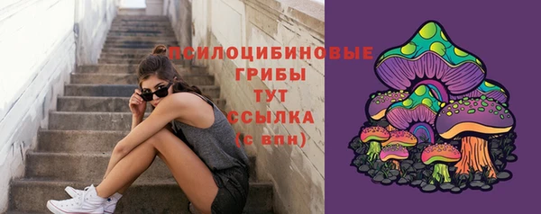 прущая мука Верея