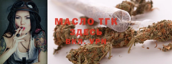 крисы Бугульма