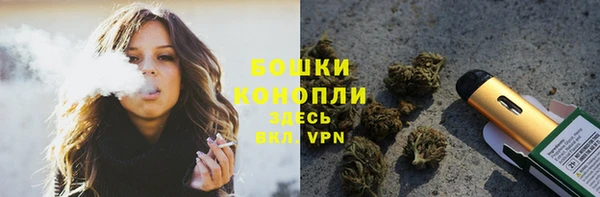 таблы Бородино