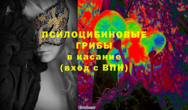 крисы Бугульма