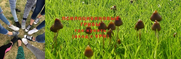 прущая мука Верея