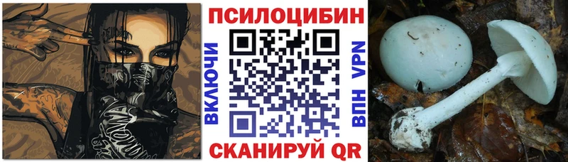 купить наркотики цена  Салават  Псилоцибиновые грибы мухоморы 